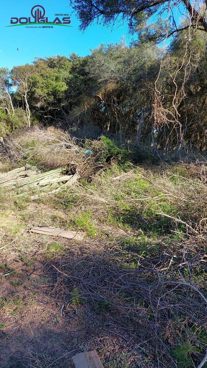 Terreno, 750 m² - Foto 8