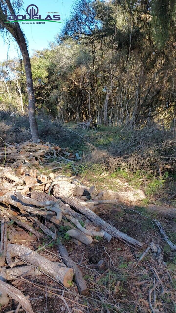 Terreno, 750 m² - Foto 10