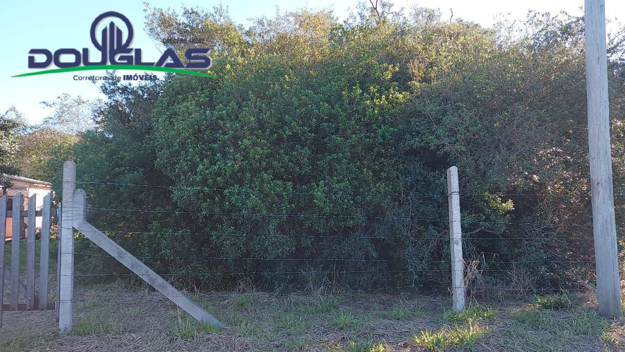 Terreno, 1398 m² - Foto 3