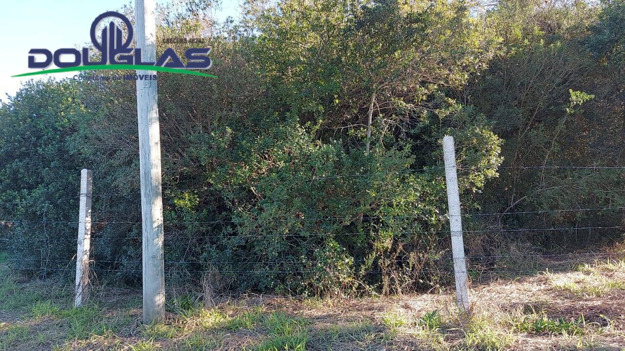 Terreno, 1398 m² - Foto 5