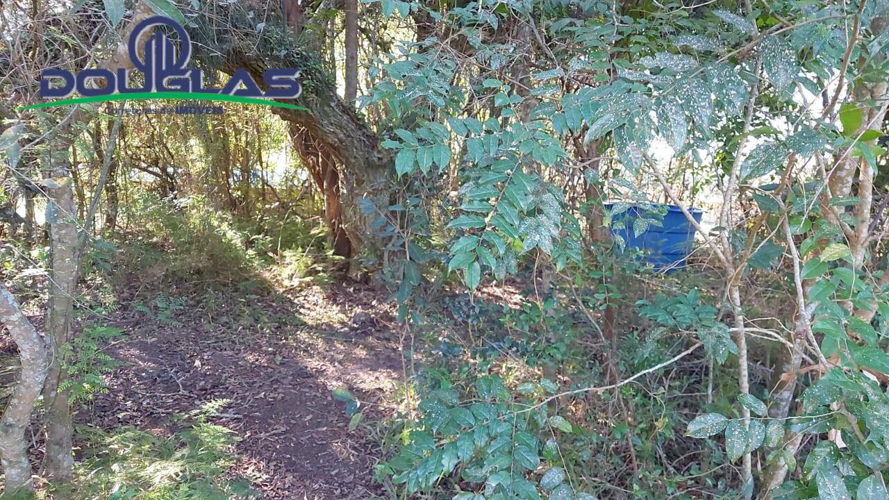 Terreno, 1398 m² - Foto 6