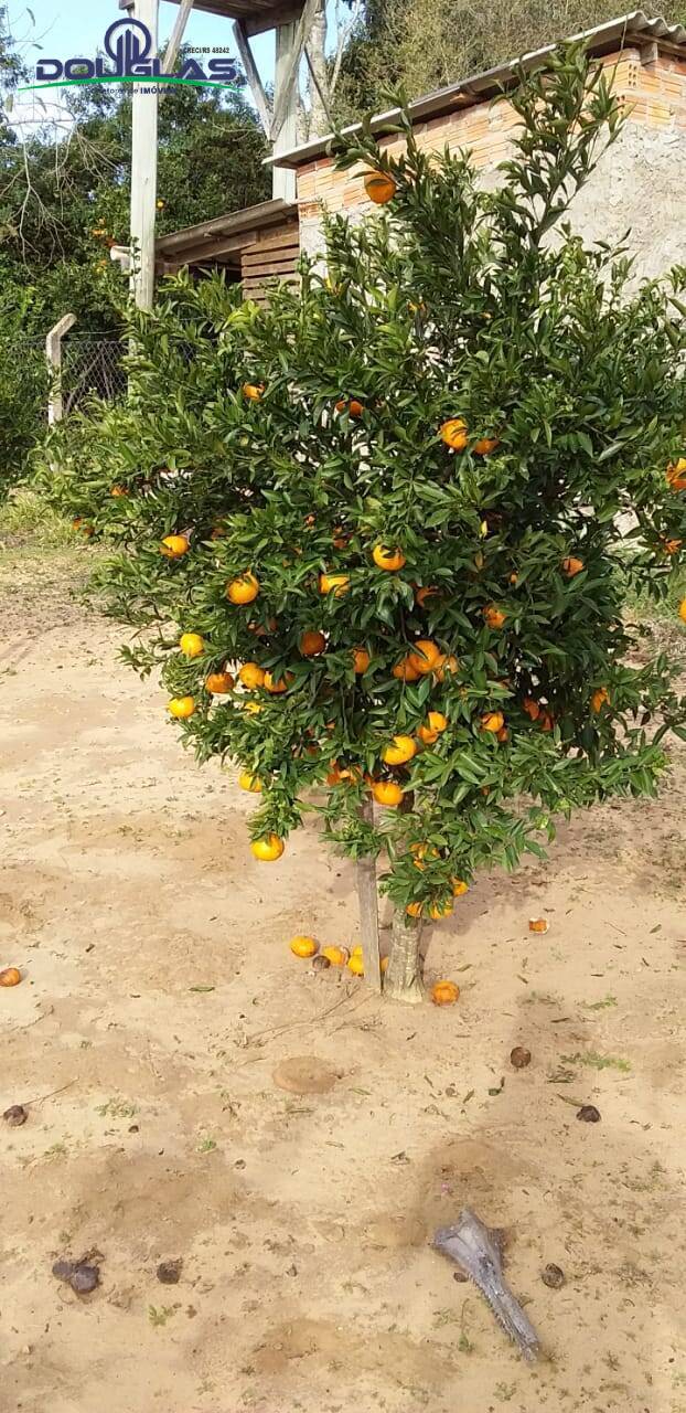 Terreno, 600 m² - Foto 1