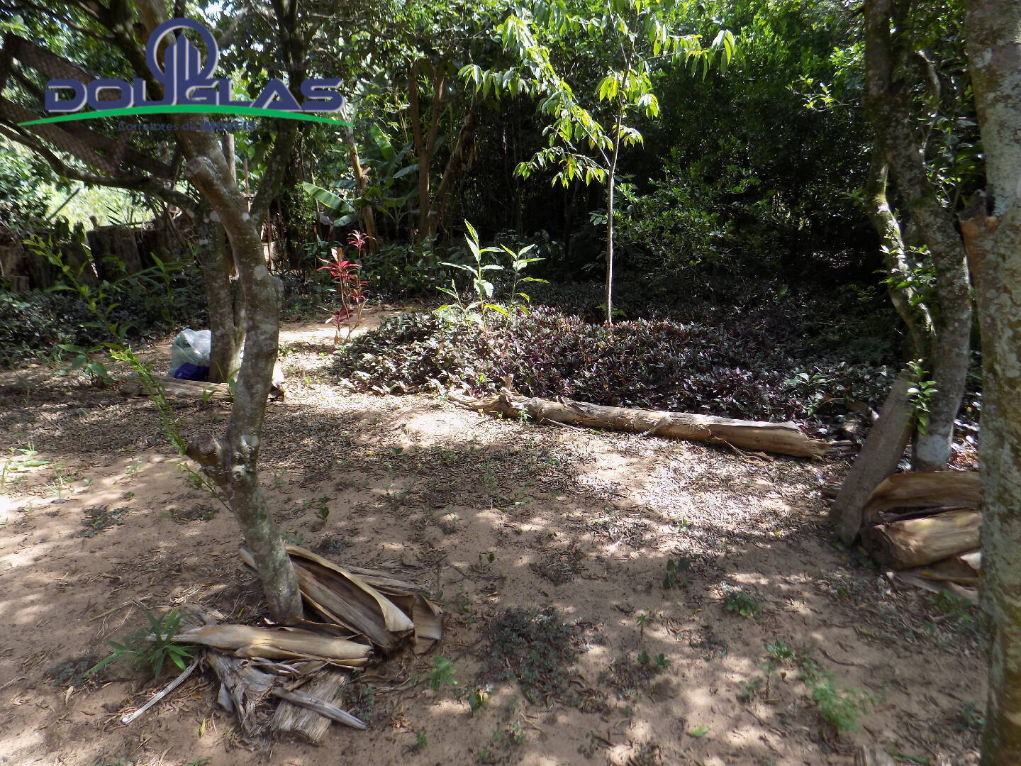 Casa, 3 quartos - Foto 23