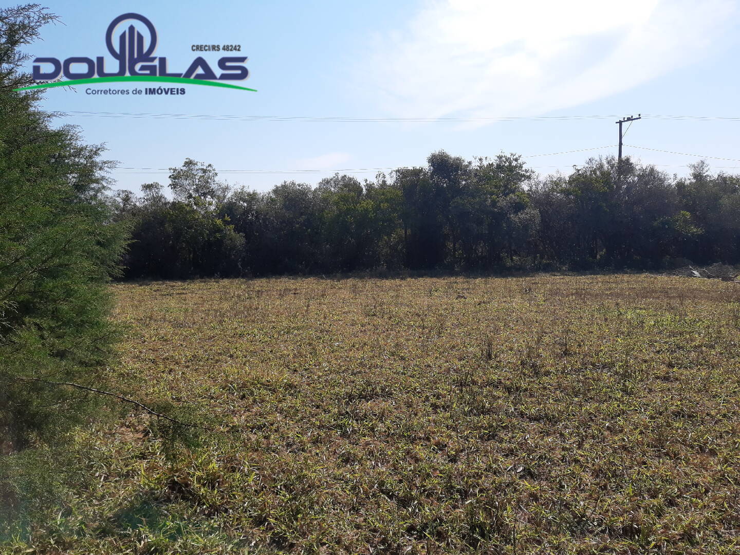 Terreno, 375 m² - Foto 2