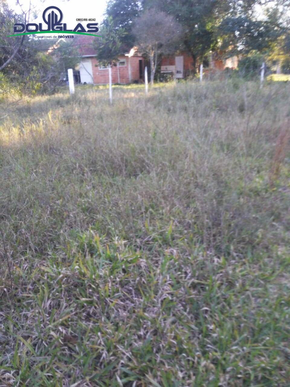 Sítio, 3 quartos - Foto 11