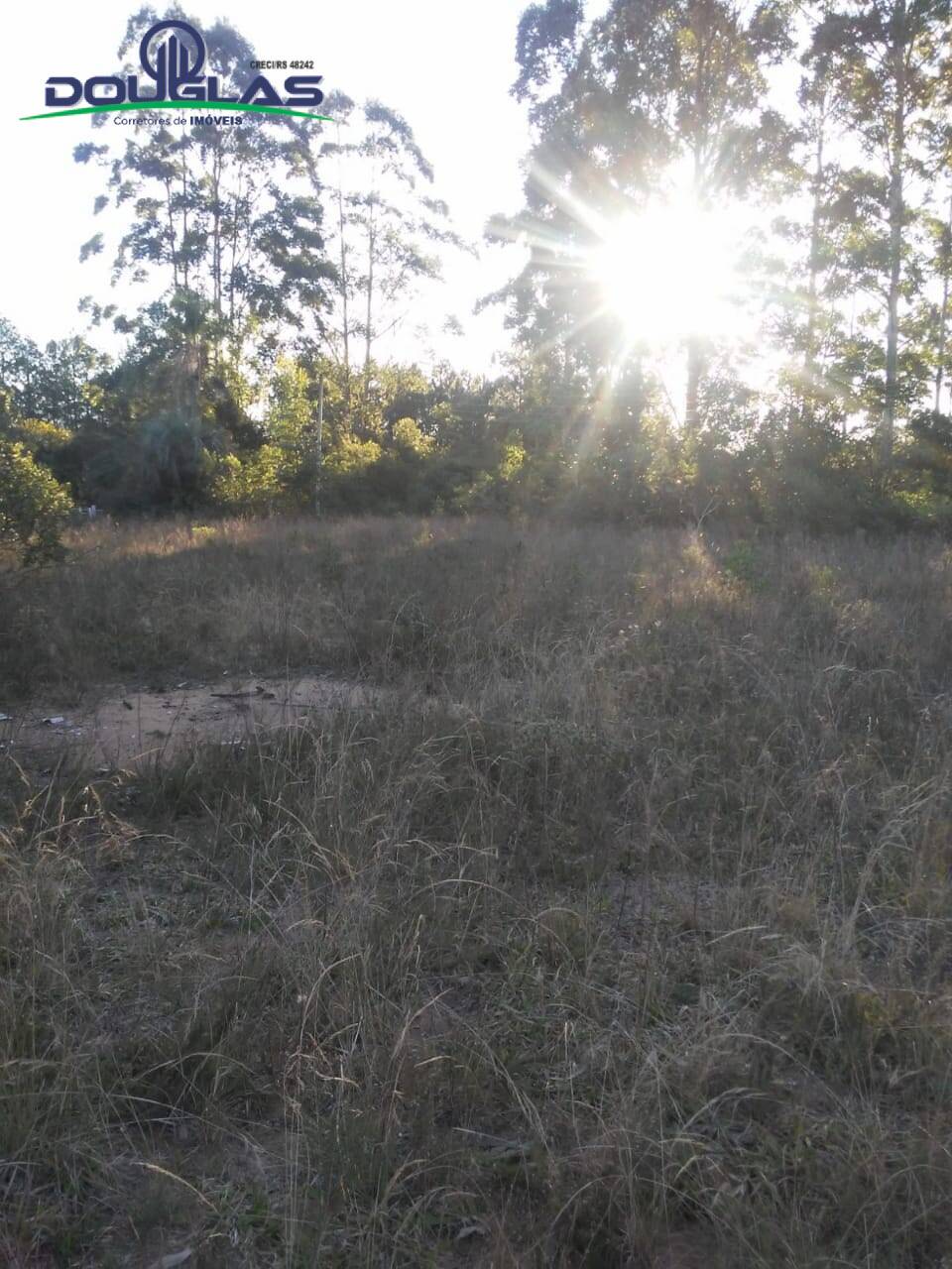 Sítio, 3 quartos - Foto 15