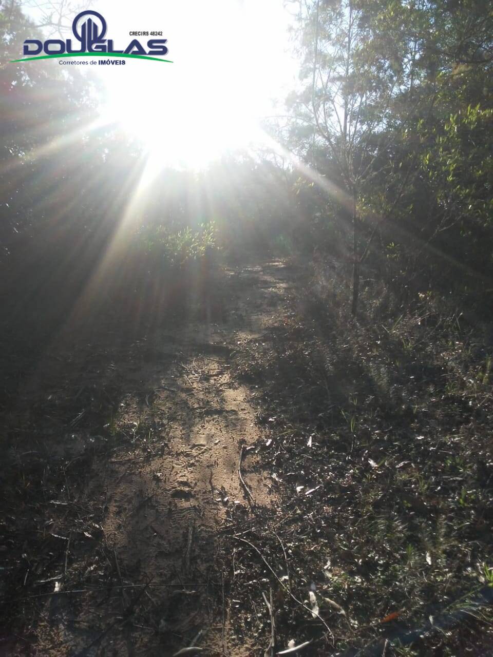 Sítio, 3 quartos - Foto 1