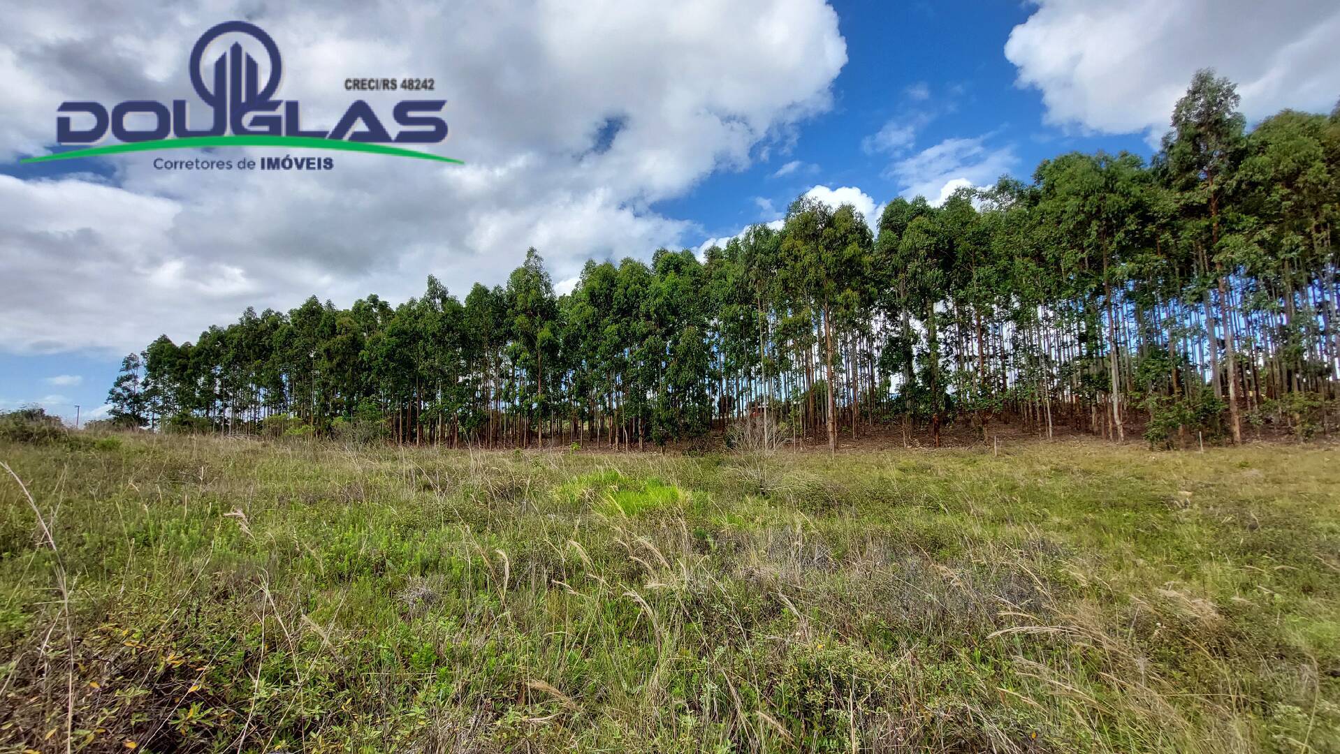 Terreno, 2 hectares - Foto 7