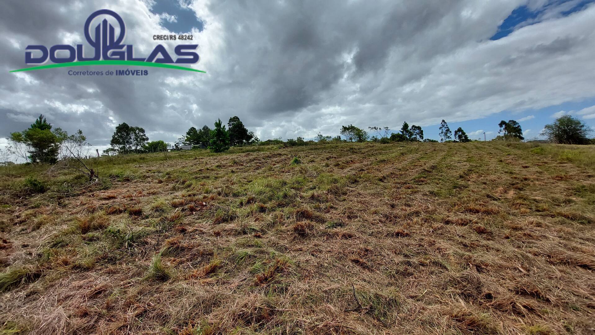 Terreno, 2 hectares - Foto 9