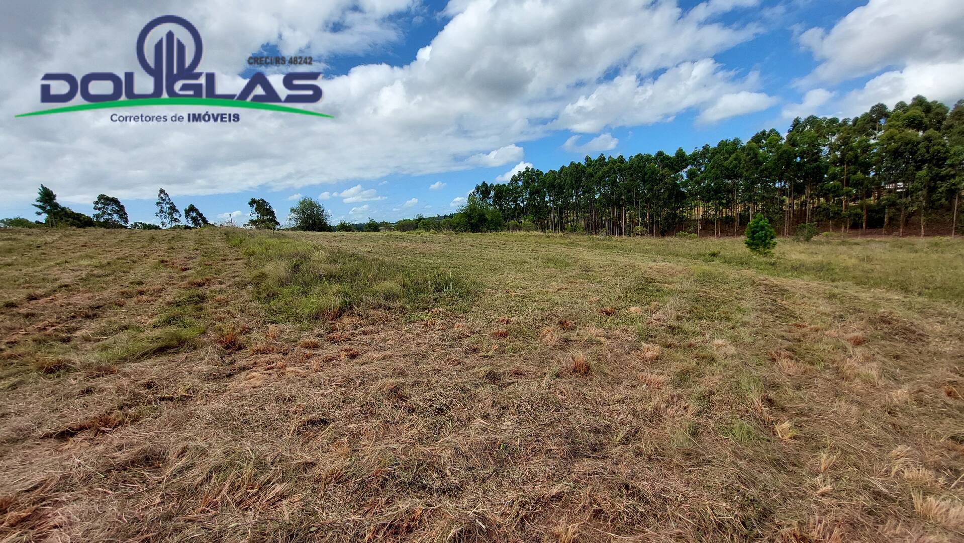 Terreno, 2 hectares - Foto 11