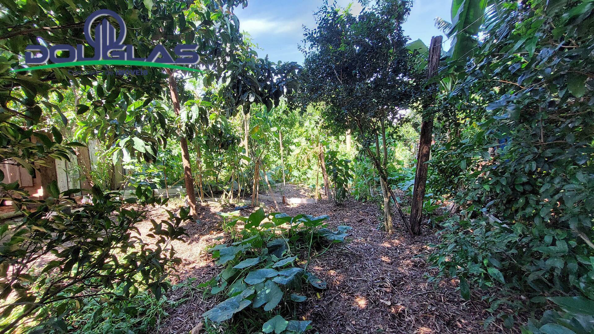 Casa, 3 quartos, 110 m² - Foto 15