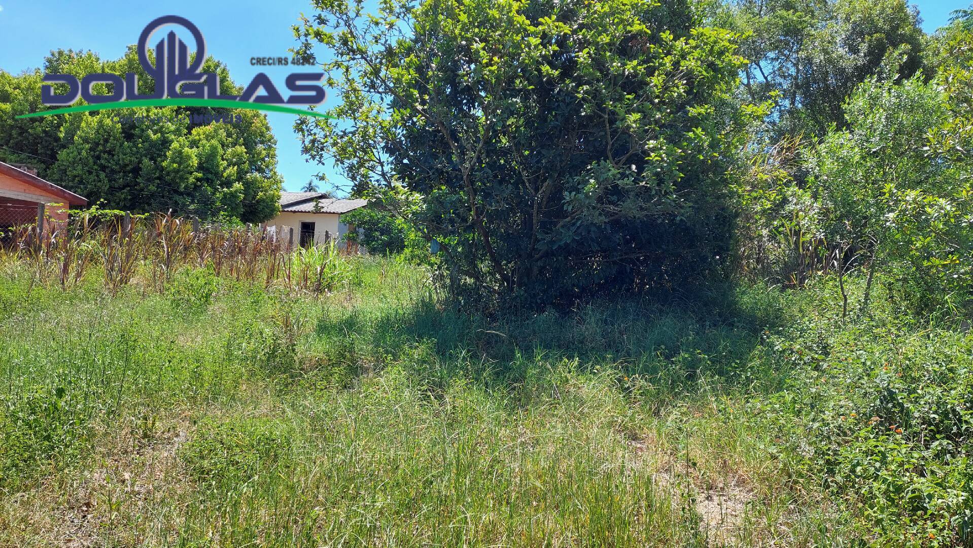 Terreno, 850 m² - Foto 4