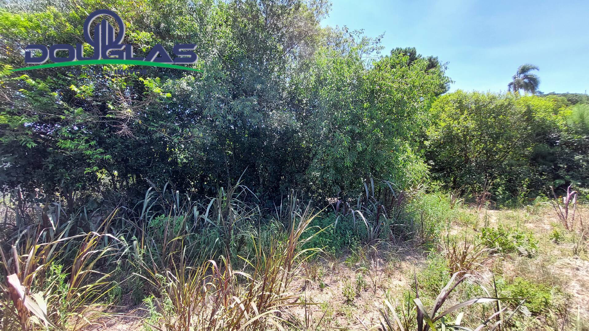 Terreno, 850 m² - Foto 6