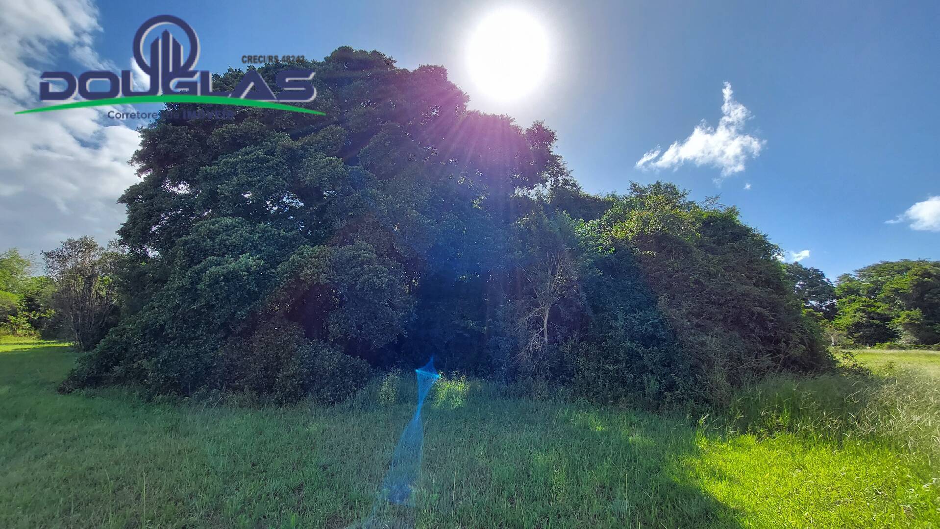 Sítio à venda com 2 quartos, 100m² - Foto 22