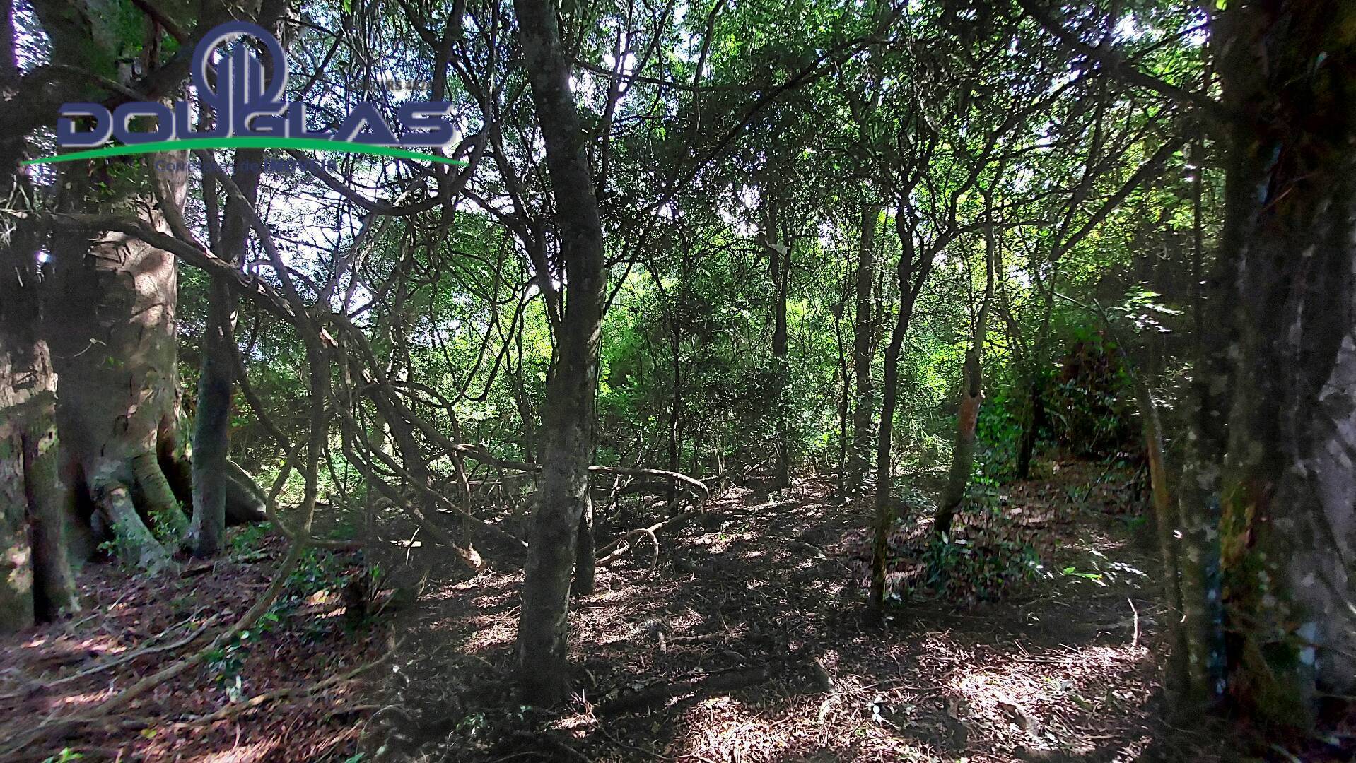 Sítio à venda com 2 quartos, 100m² - Foto 23