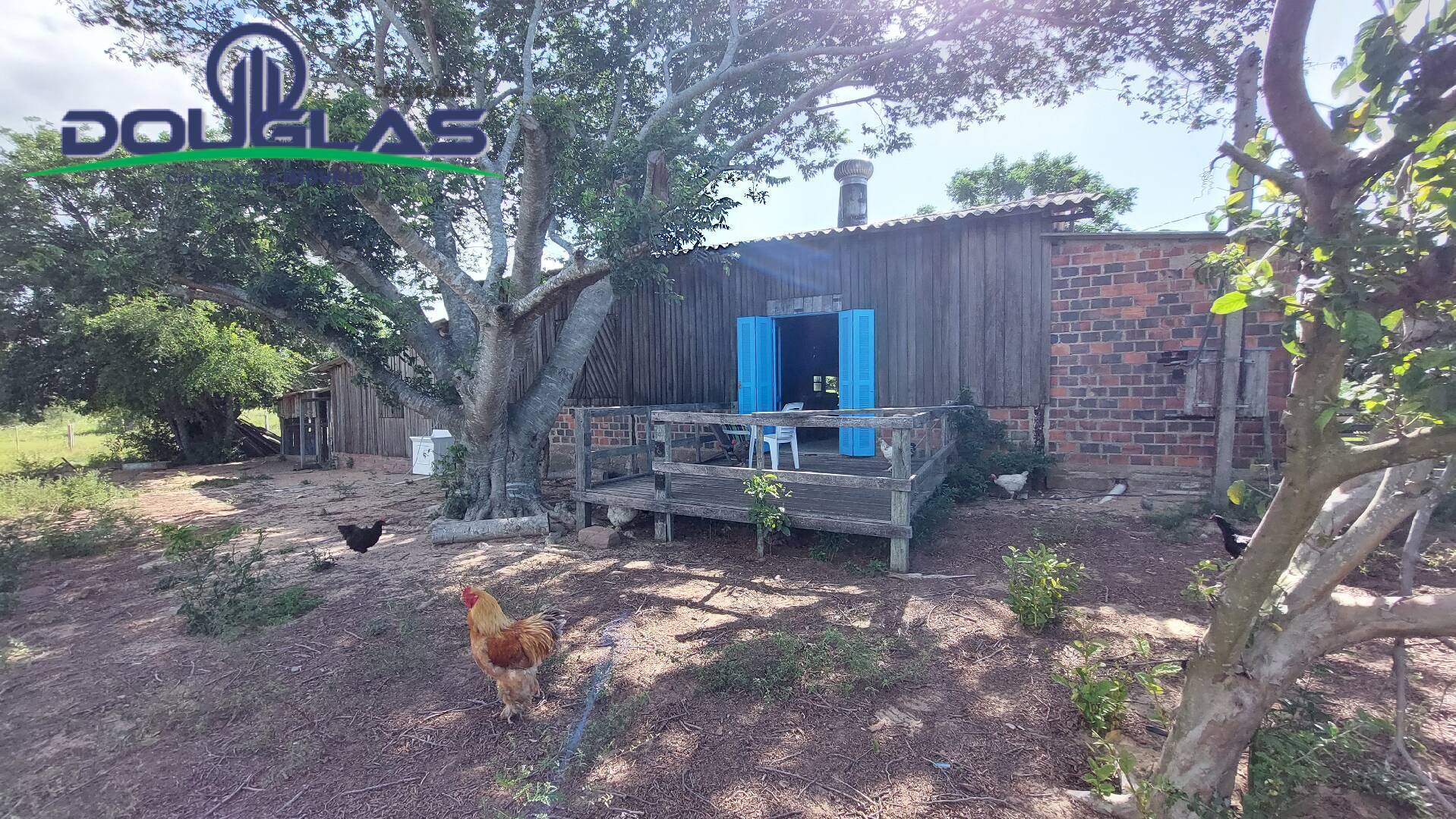 Sítio à venda com 2 quartos, 100m² - Foto 26