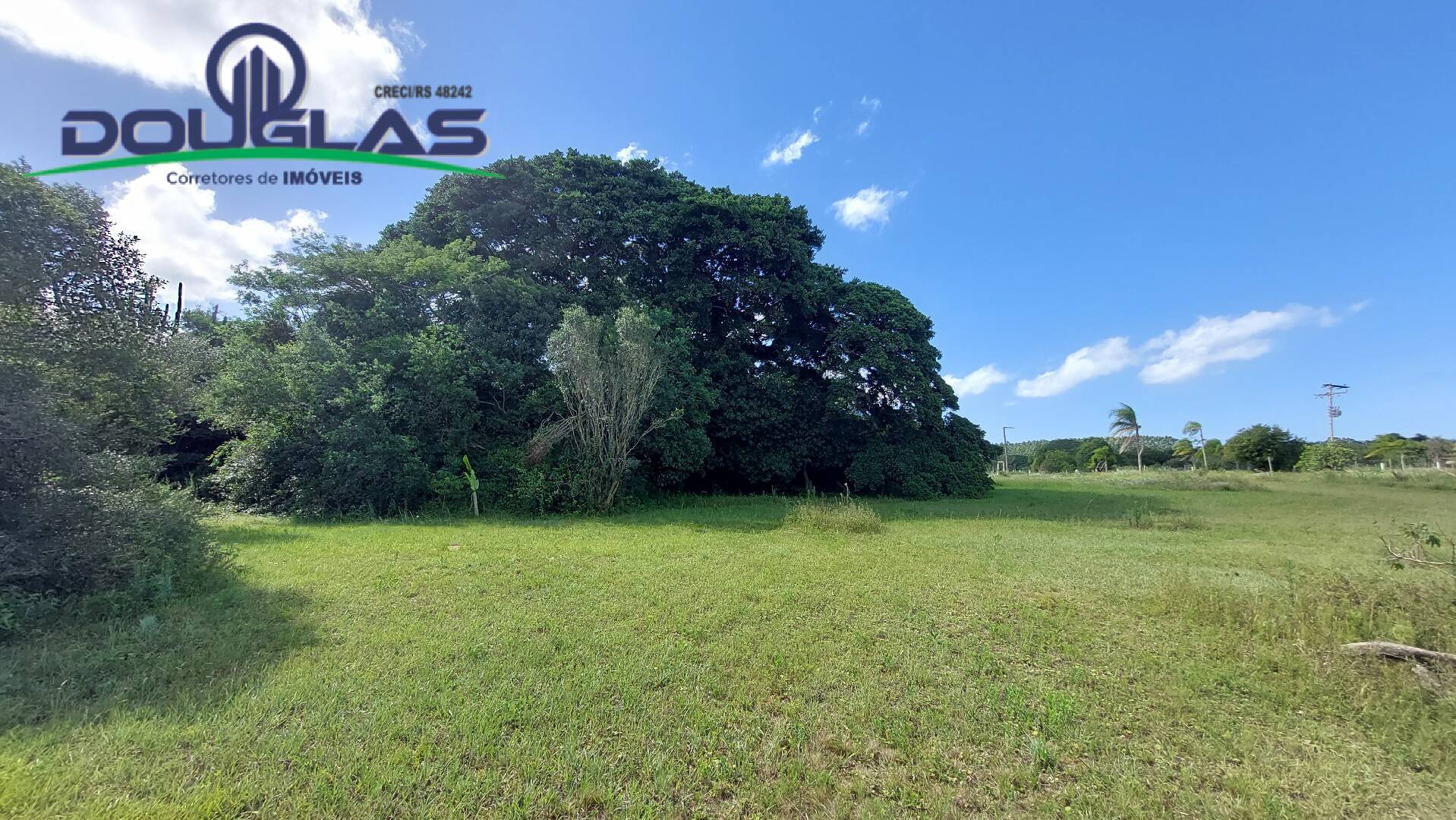 Sítio à venda com 2 quartos, 100m² - Foto 35