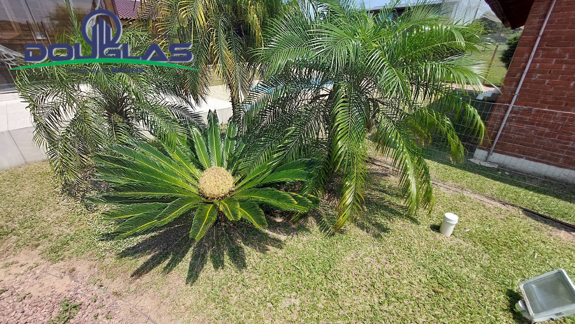 Casa, 3 quartos, 300 m² - Foto 42