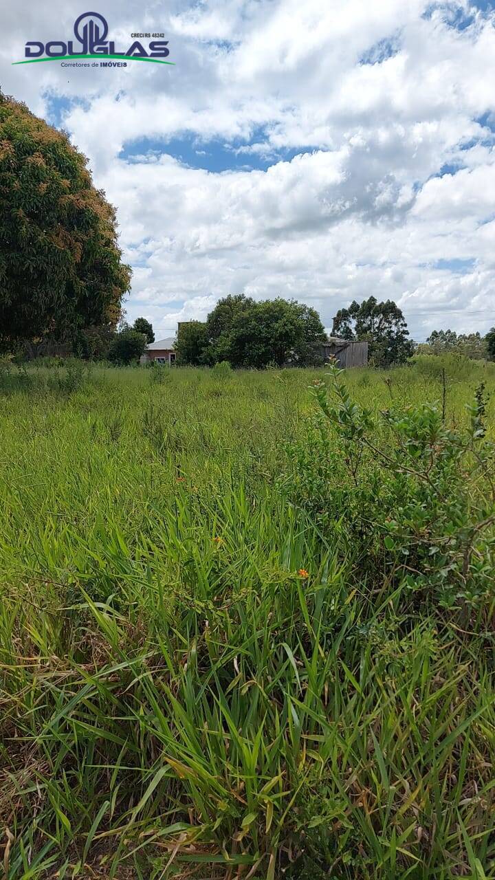 Terreno, 490 m² - Foto 5