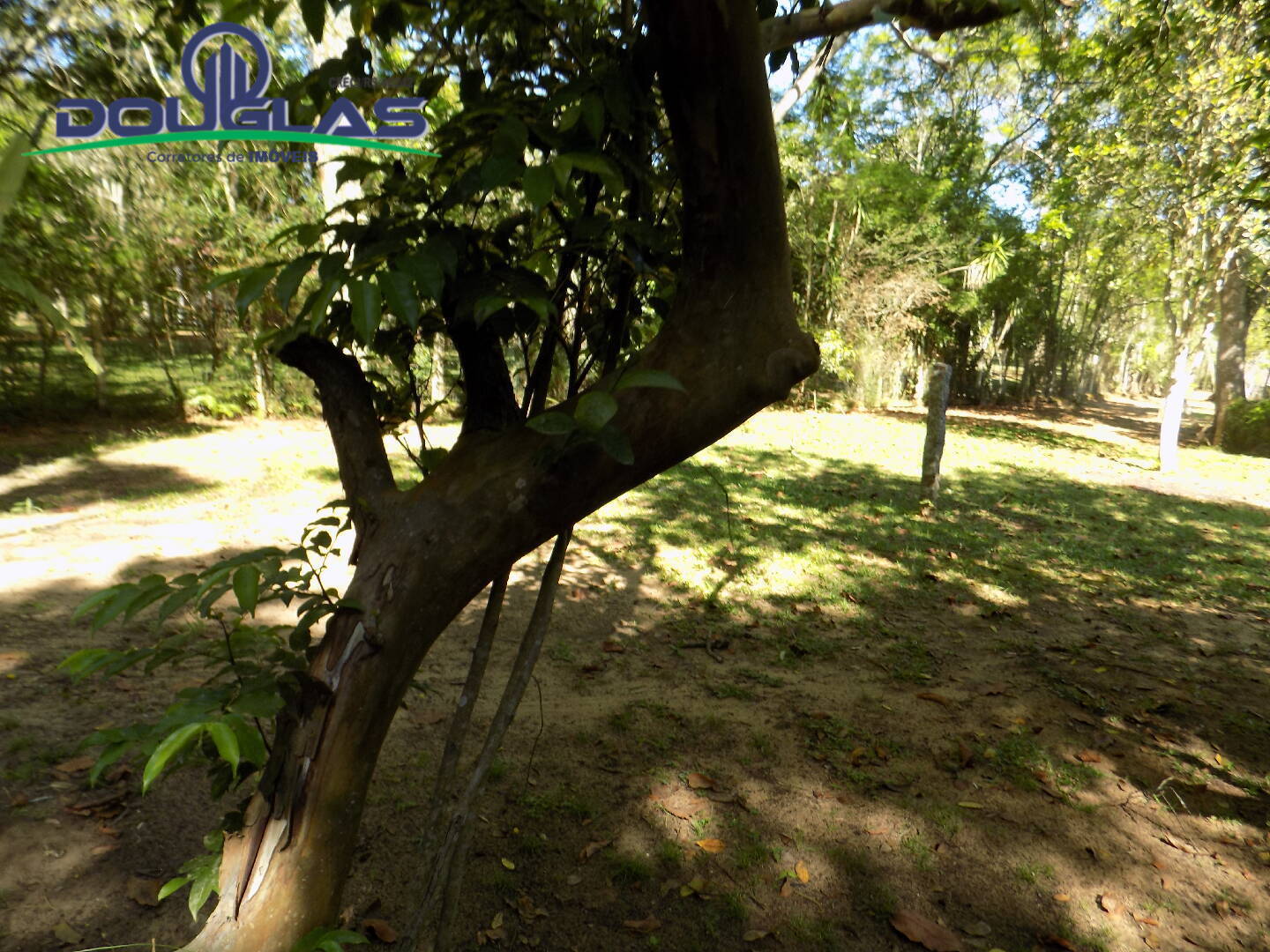 Terreno, 600 m² - Foto 4