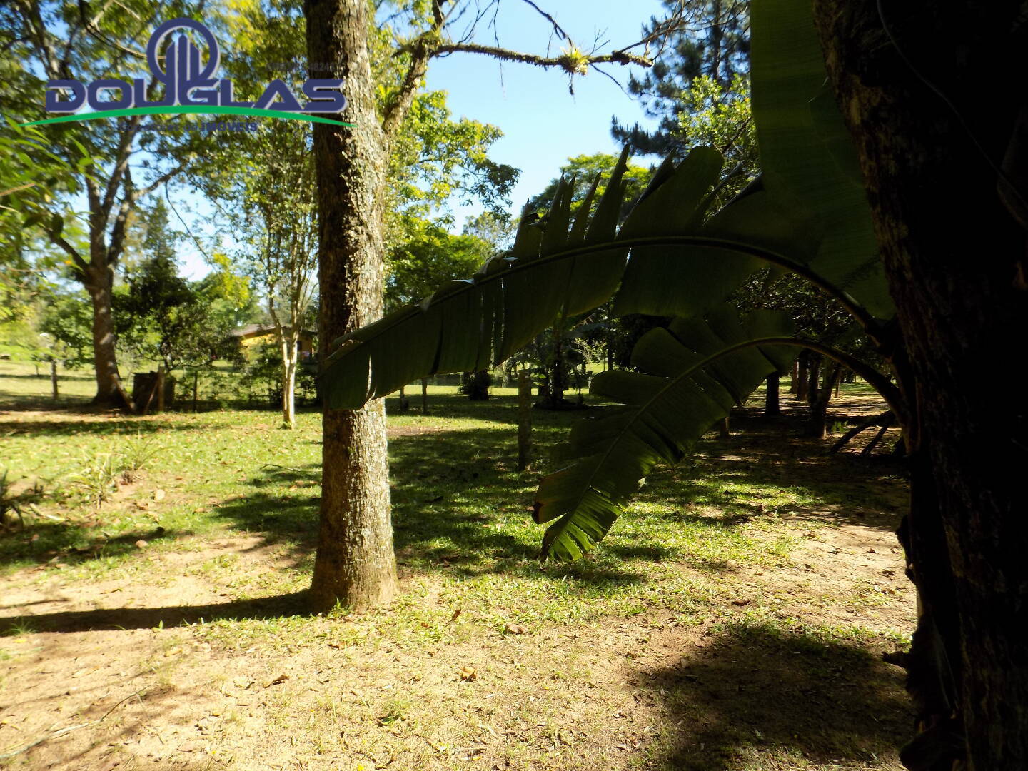 Terreno, 600 m² - Foto 5