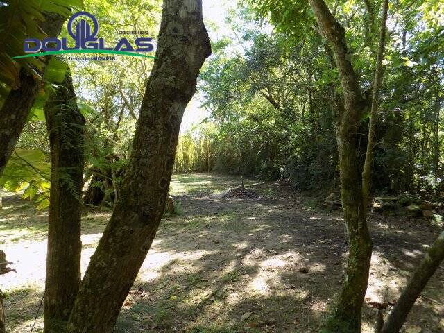 Terreno, 450 m² - Foto 2