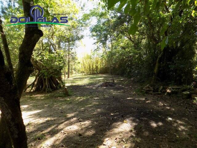 Terreno, 450 m² - Foto 3