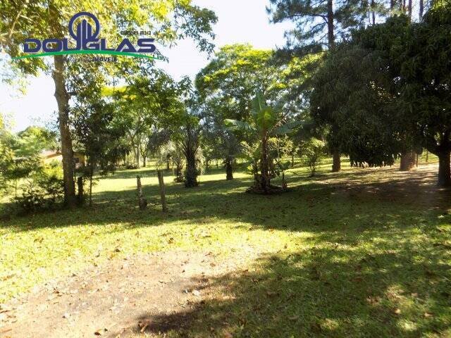 Terreno, 1250 m² - Foto 3