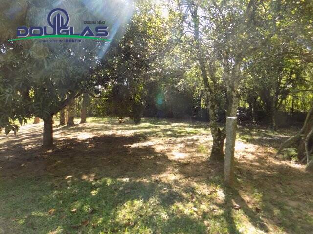 Terreno, 1250 m² - Foto 4