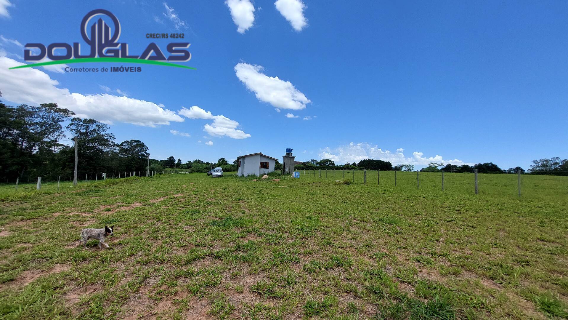 Chácara, 2 quartos, 5000 m² - Foto 8