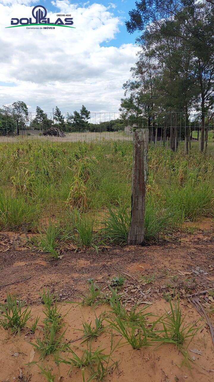 Terreno, 2625 m² - Foto 5