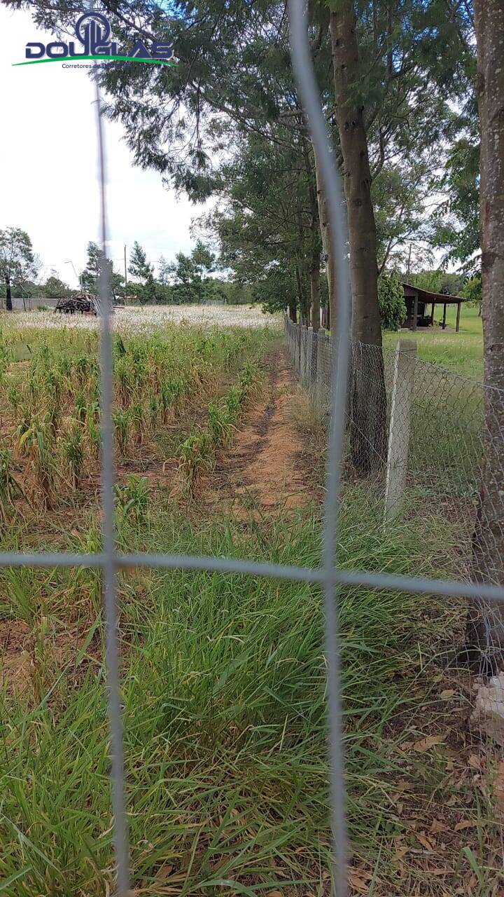 Terreno, 2625 m² - Foto 6