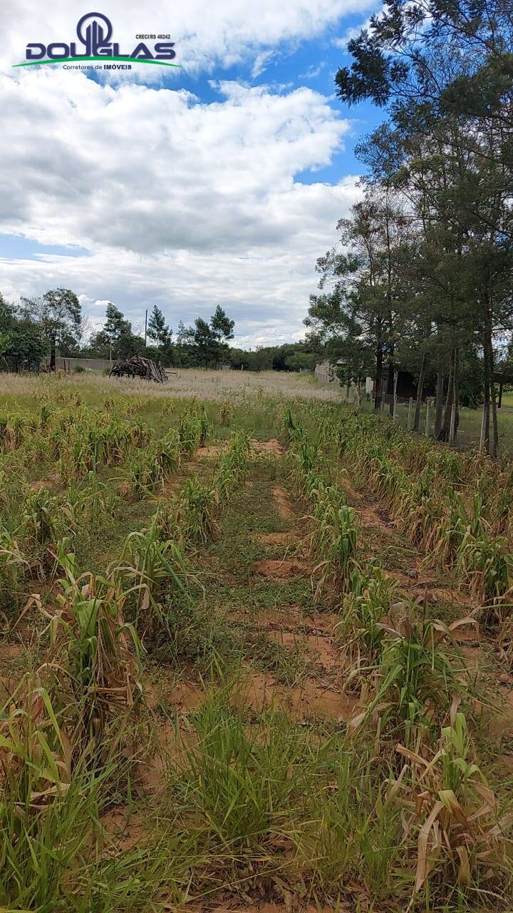 Terreno, 2625 m² - Foto 9