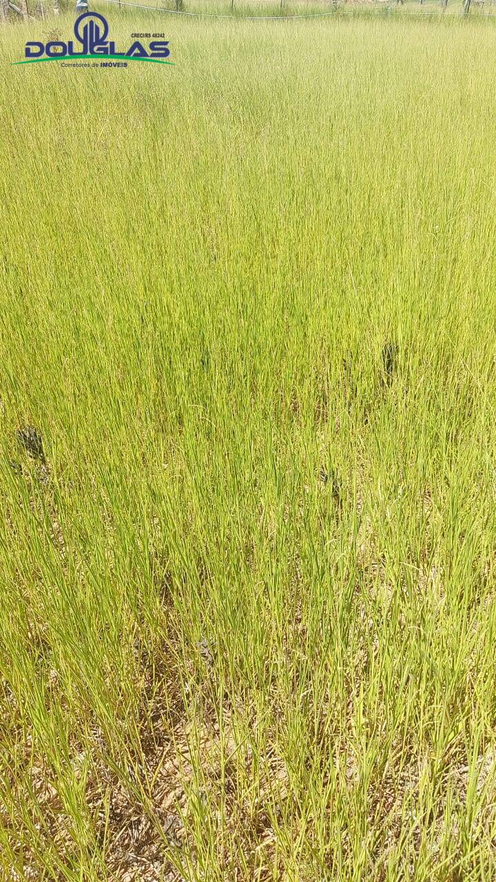 Terreno, 299 m² - Foto 5