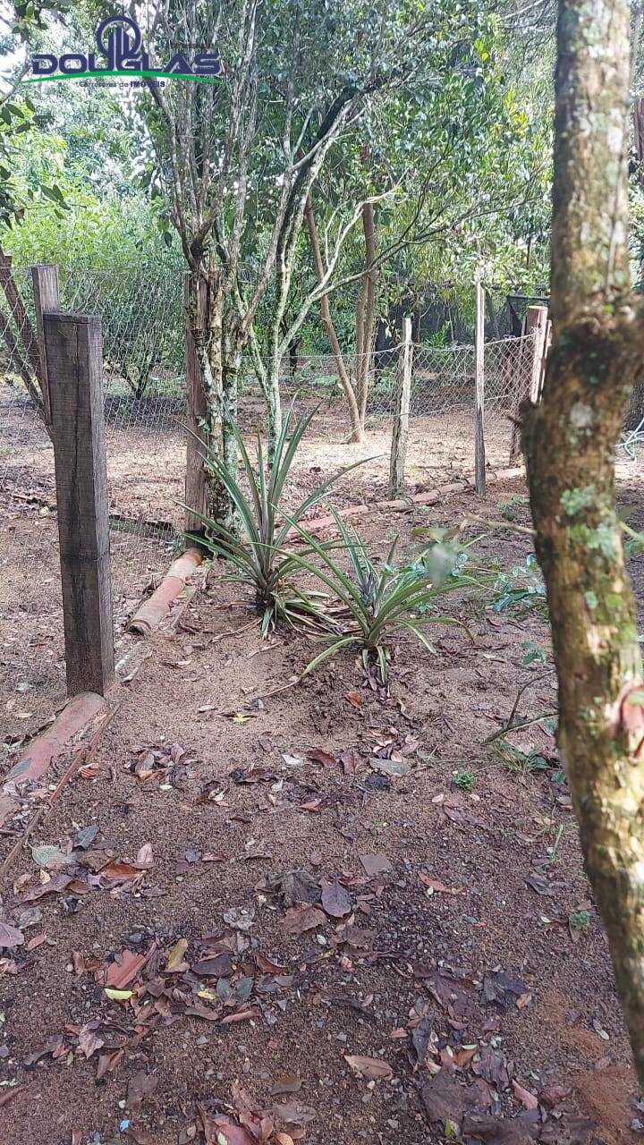 Casa, 3 quartos - Foto 17