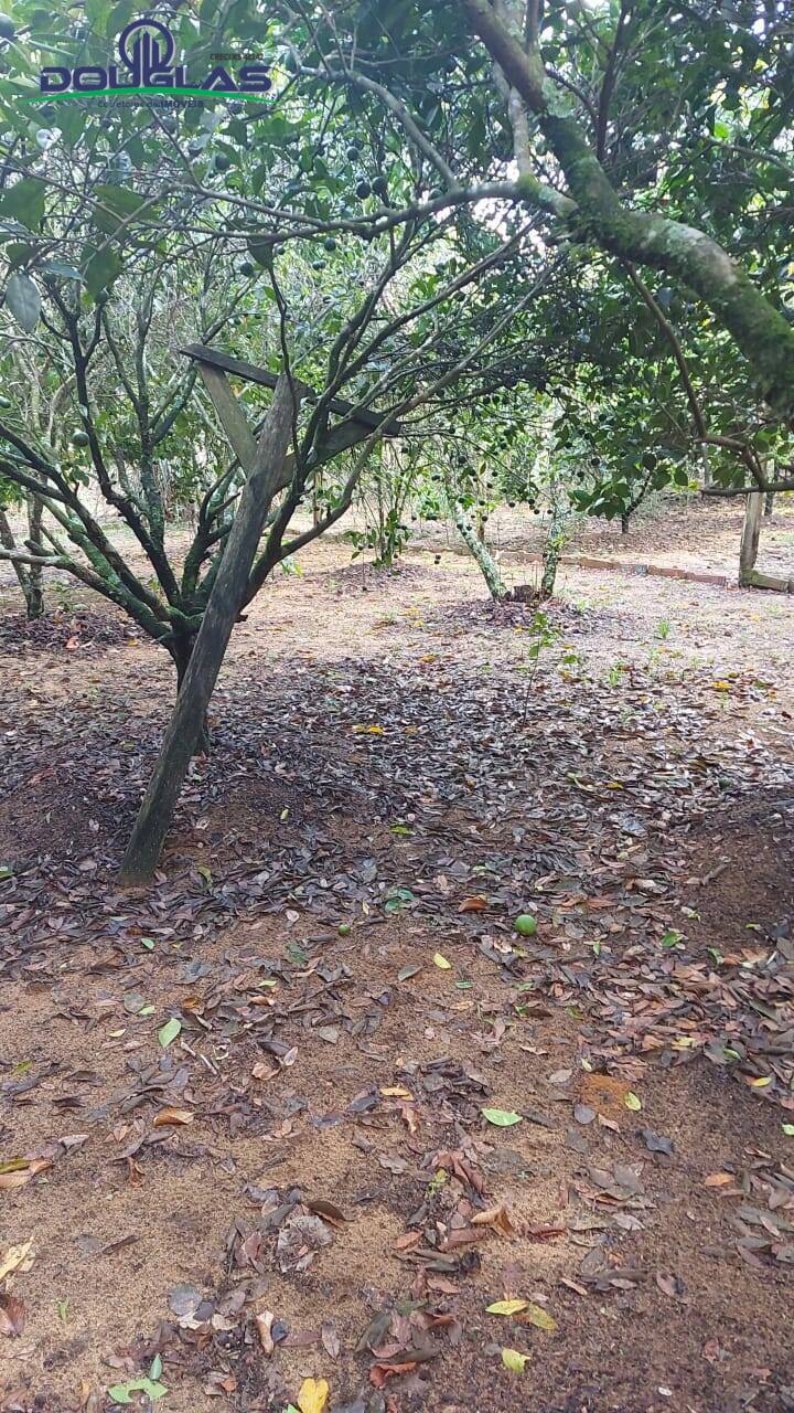 Casa, 3 quartos - Foto 19