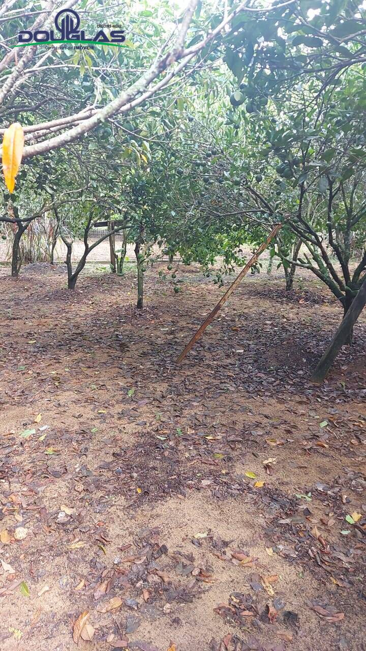 Casa, 3 quartos - Foto 18