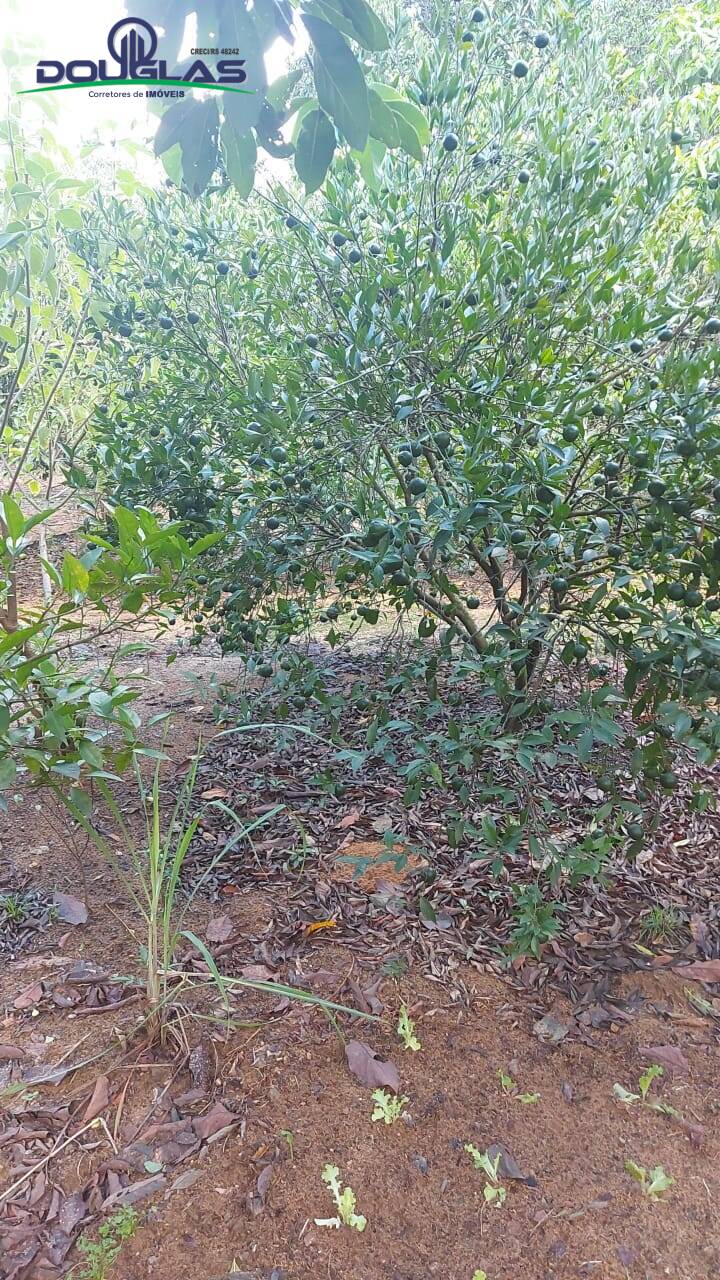 Casa, 3 quartos - Foto 21