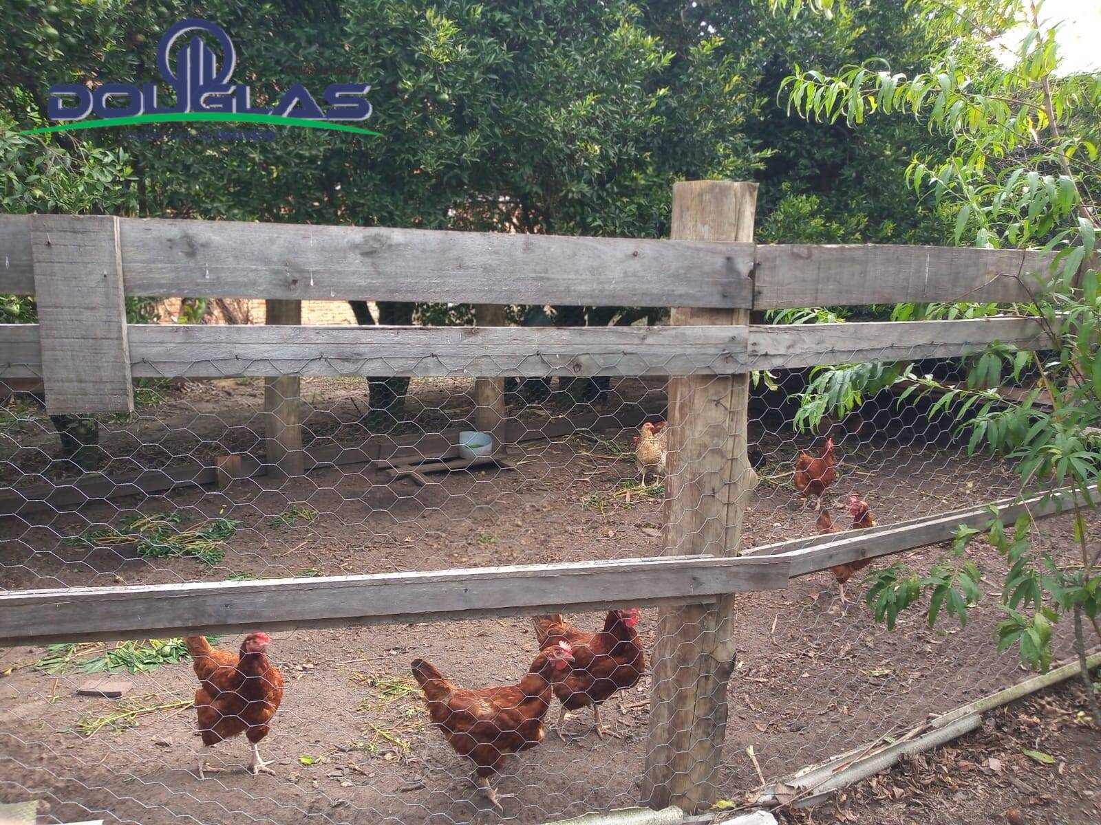 Sítio, 2 quartos, 5000 m² - Foto 2