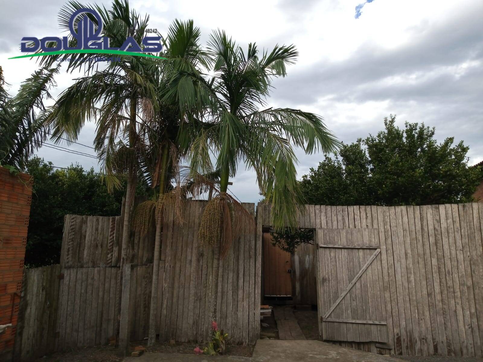 Sítio, 2 quartos, 5000 m² - Foto 11