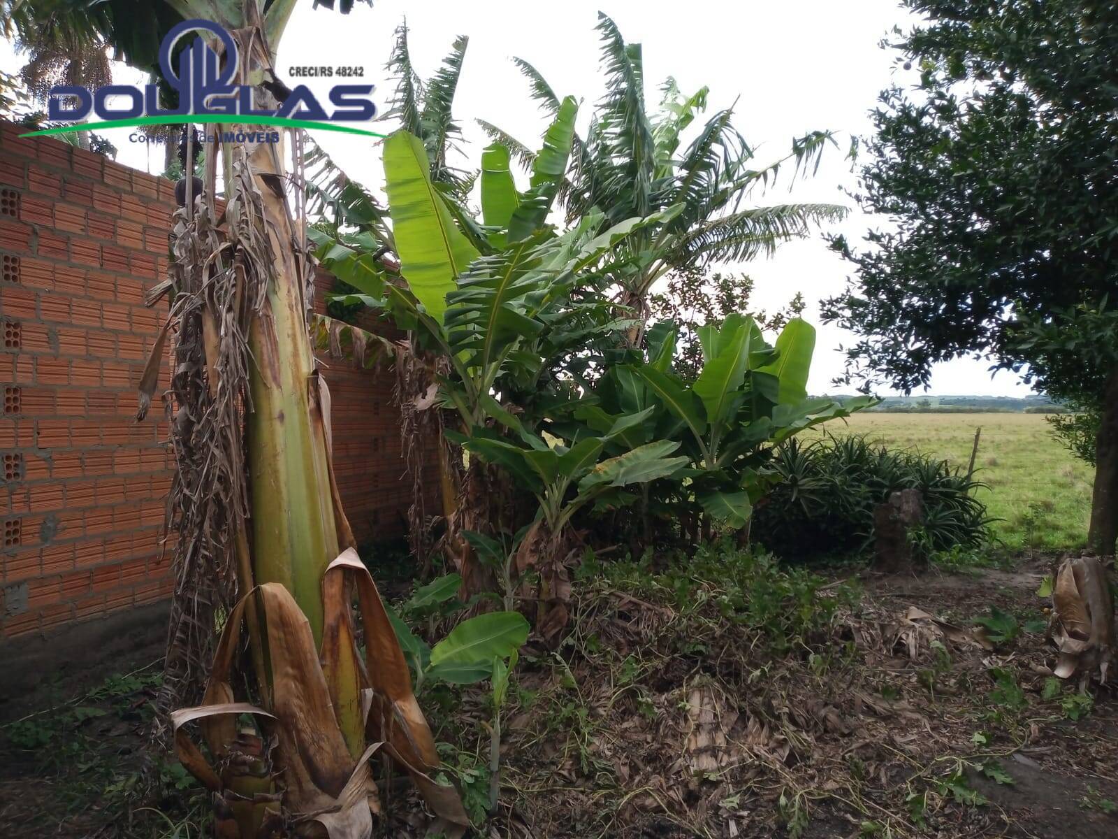 Sítio, 2 quartos, 5000 m² - Foto 10