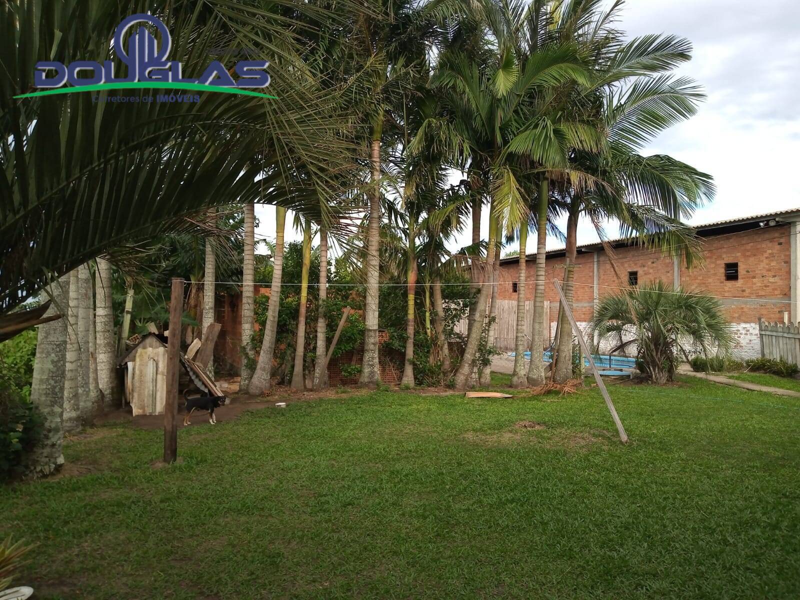 Sítio, 2 quartos, 5000 m² - Foto 18