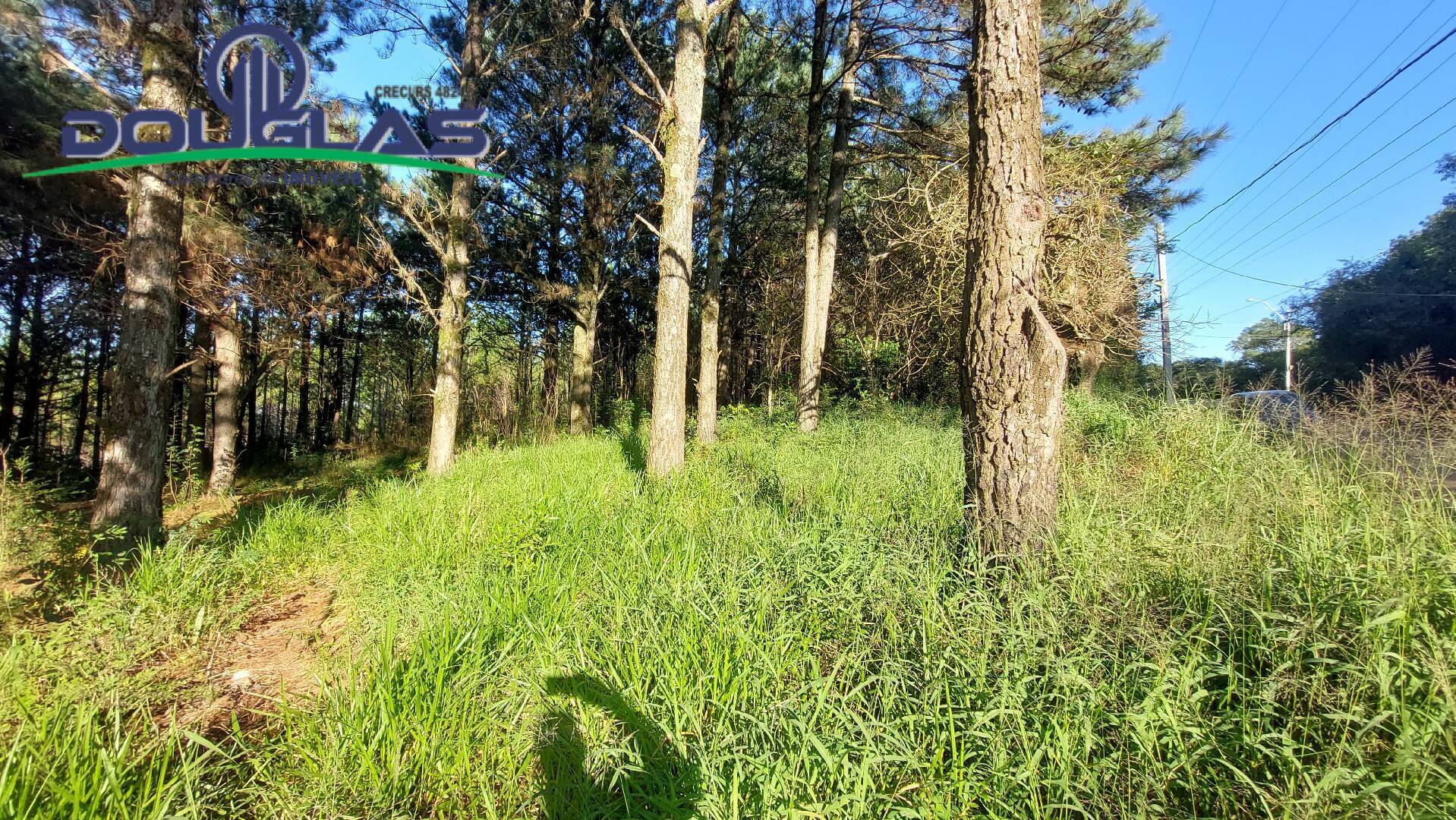 Terreno, 3100 m² - Foto 2