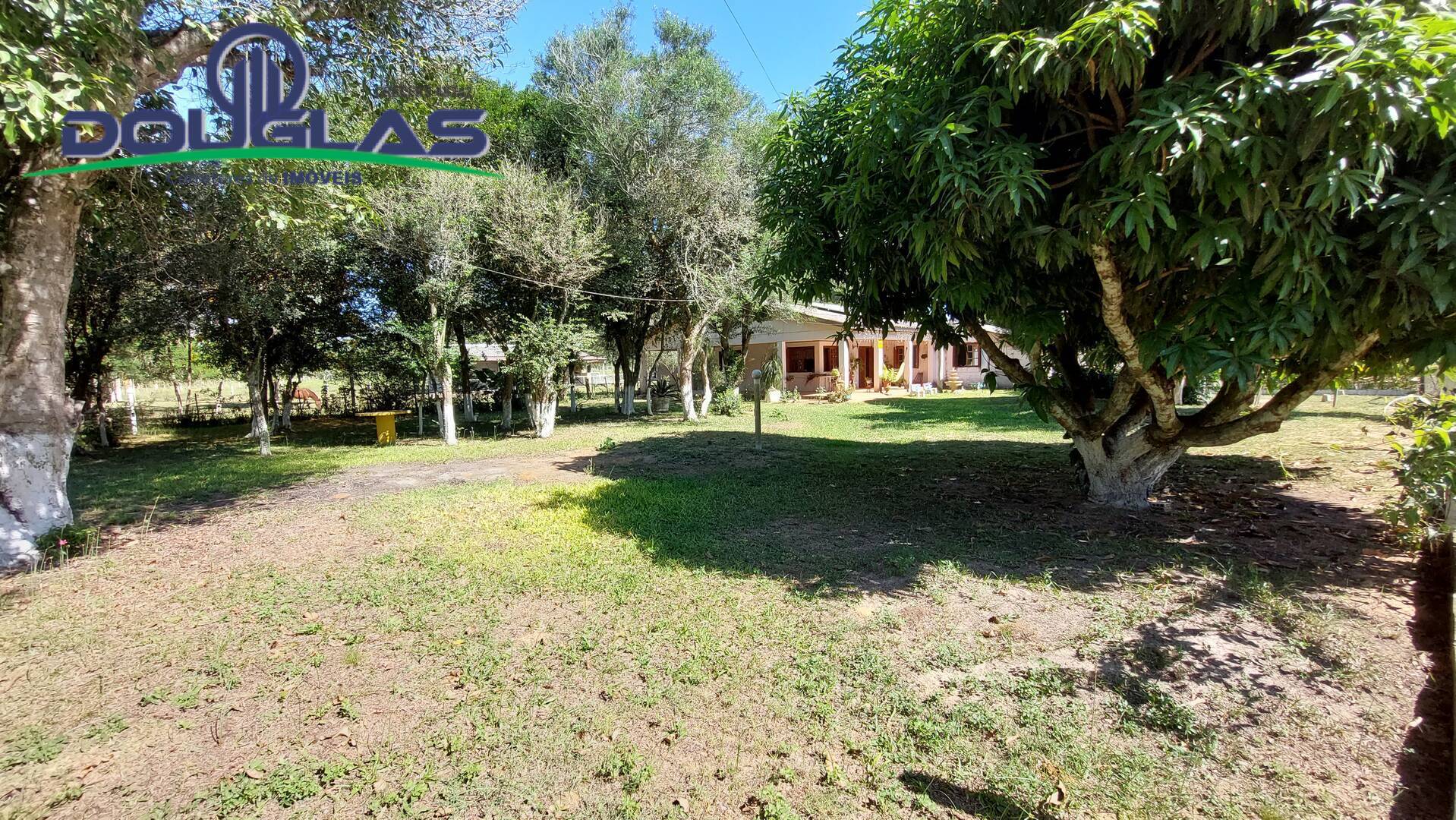 Sítio, 8 quartos, 4 m² - Foto 5