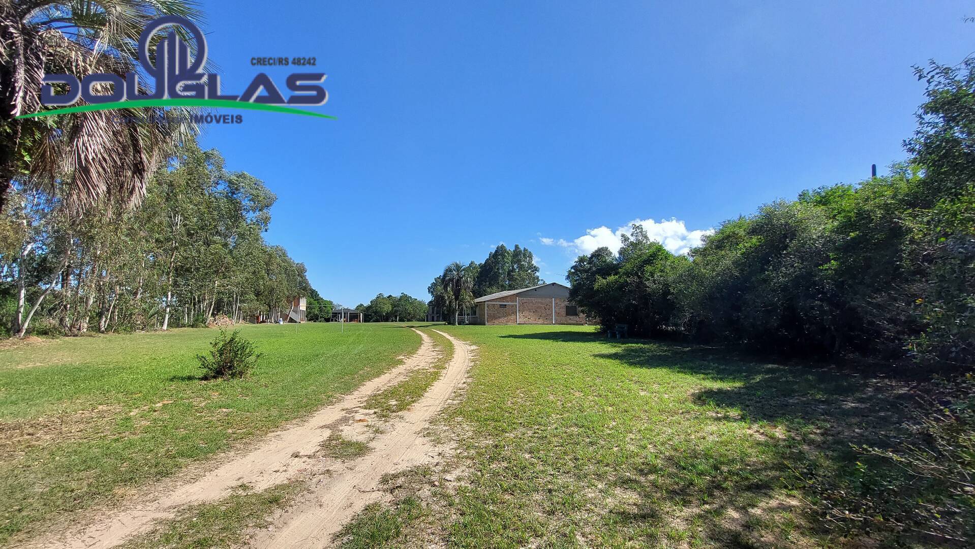 Sítio, 8 quartos, 4 m² - Foto 14