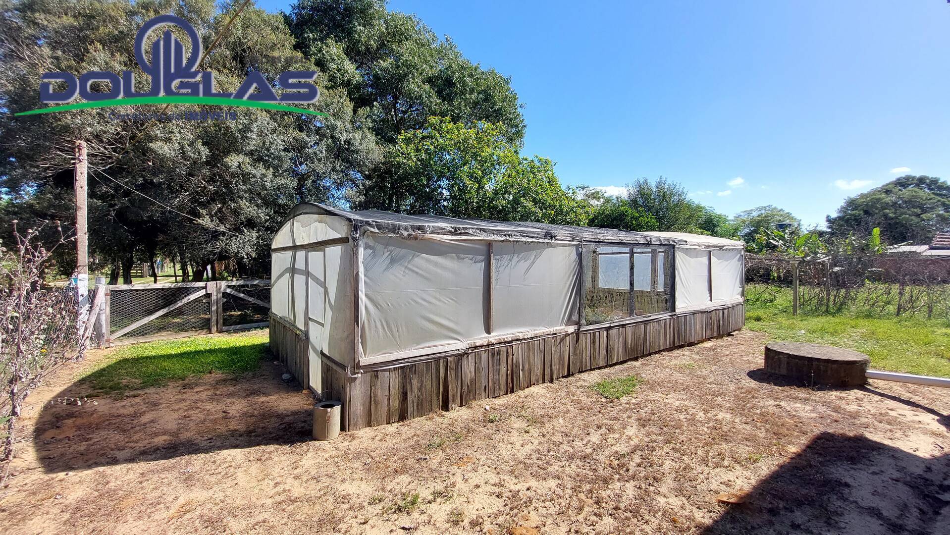 Sítio, 8 quartos, 4 m² - Foto 7