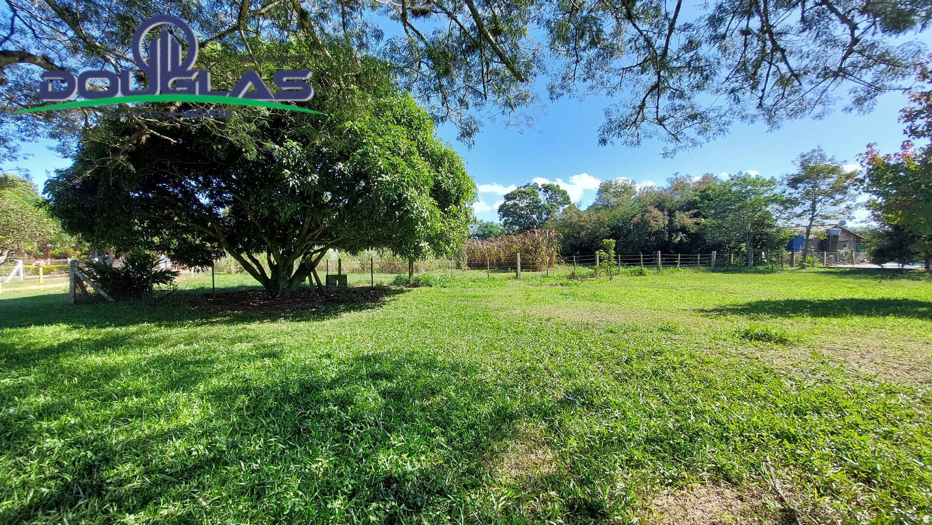 Sítio, 8 quartos, 4 m² - Foto 12