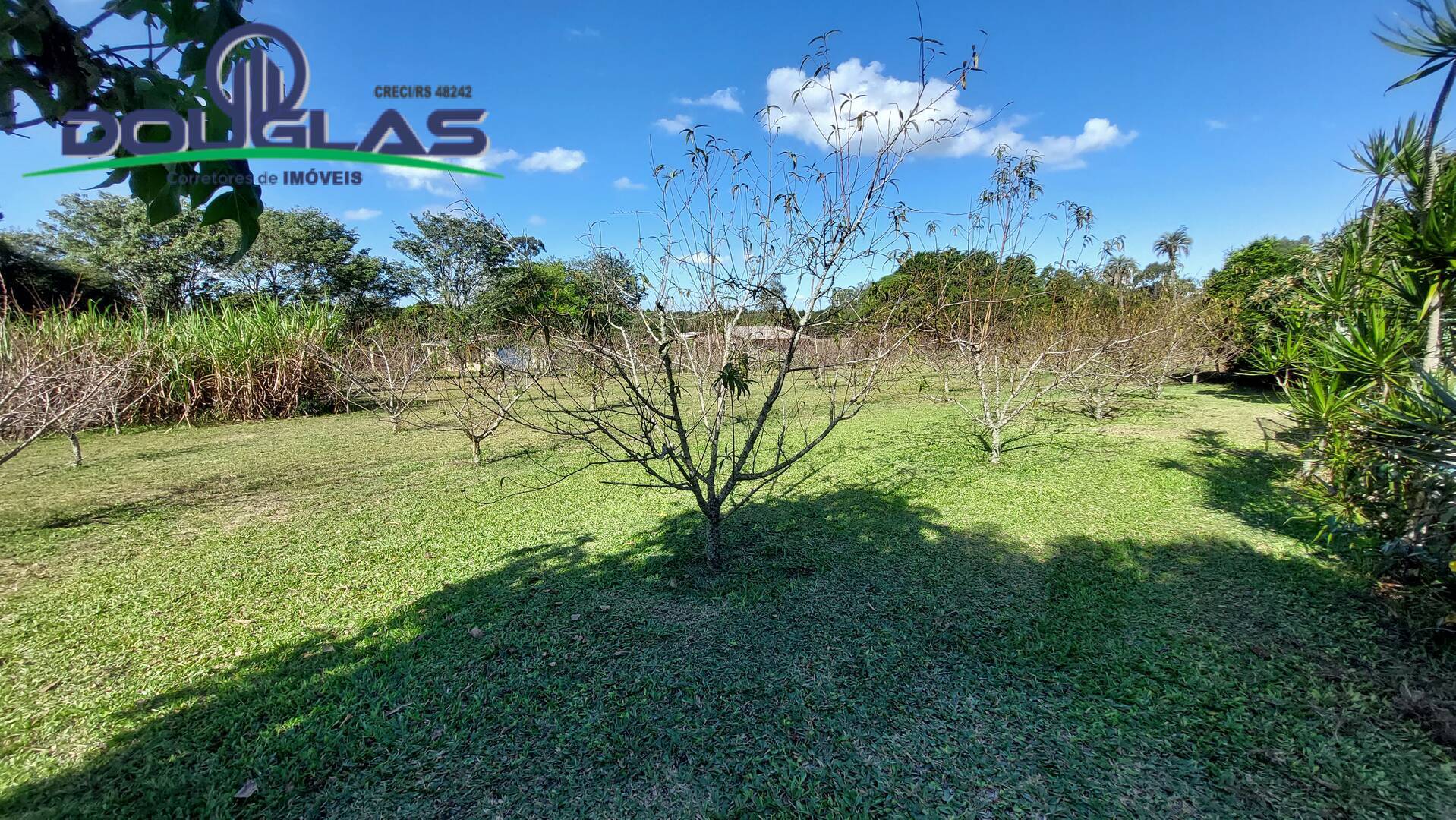 Chácara à venda com 3 quartos, 143m² - Foto 24
