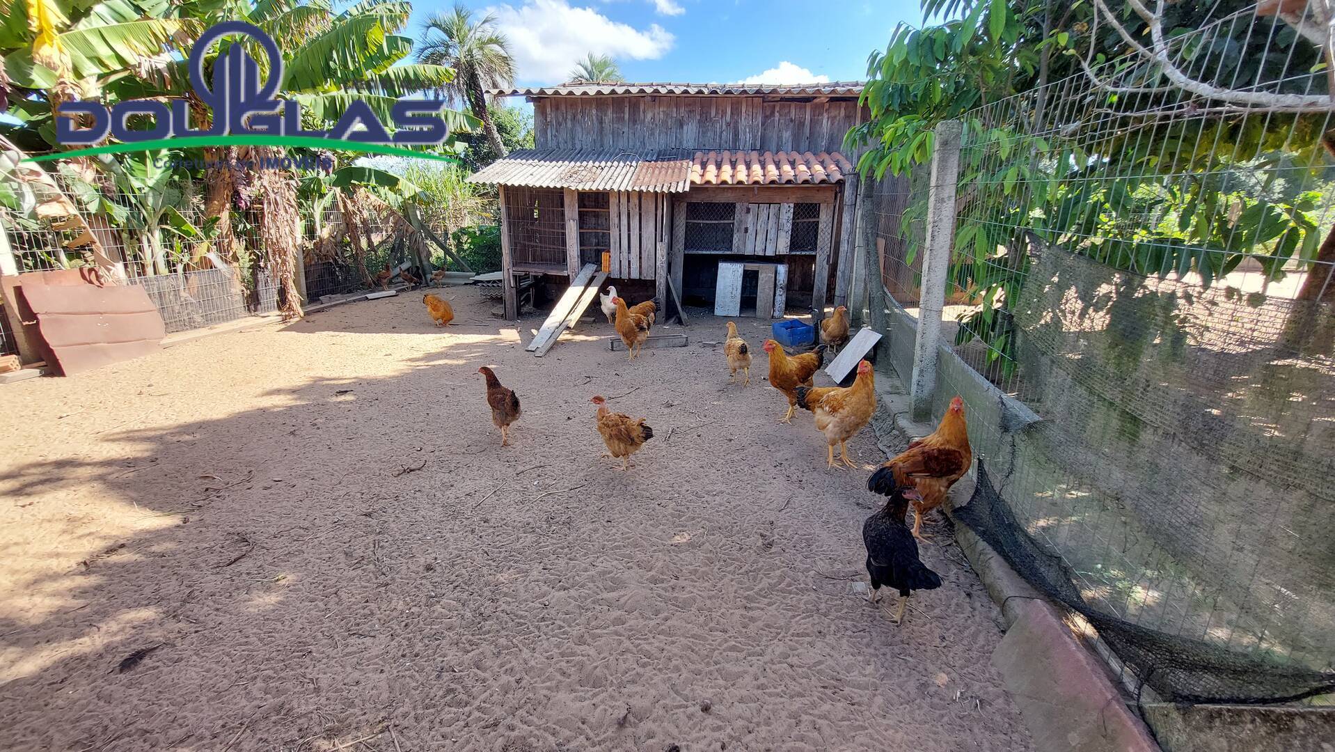 Chácara à venda com 3 quartos, 143m² - Foto 36