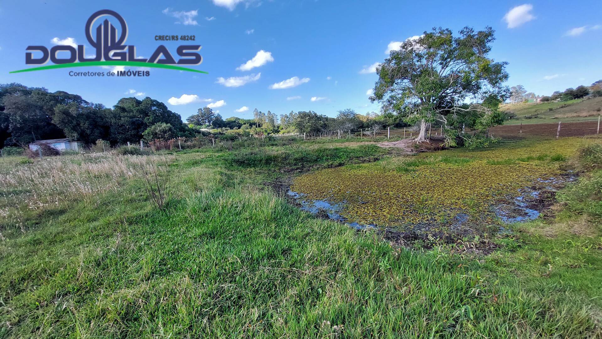 Terreno, 5000 m² - Foto 3